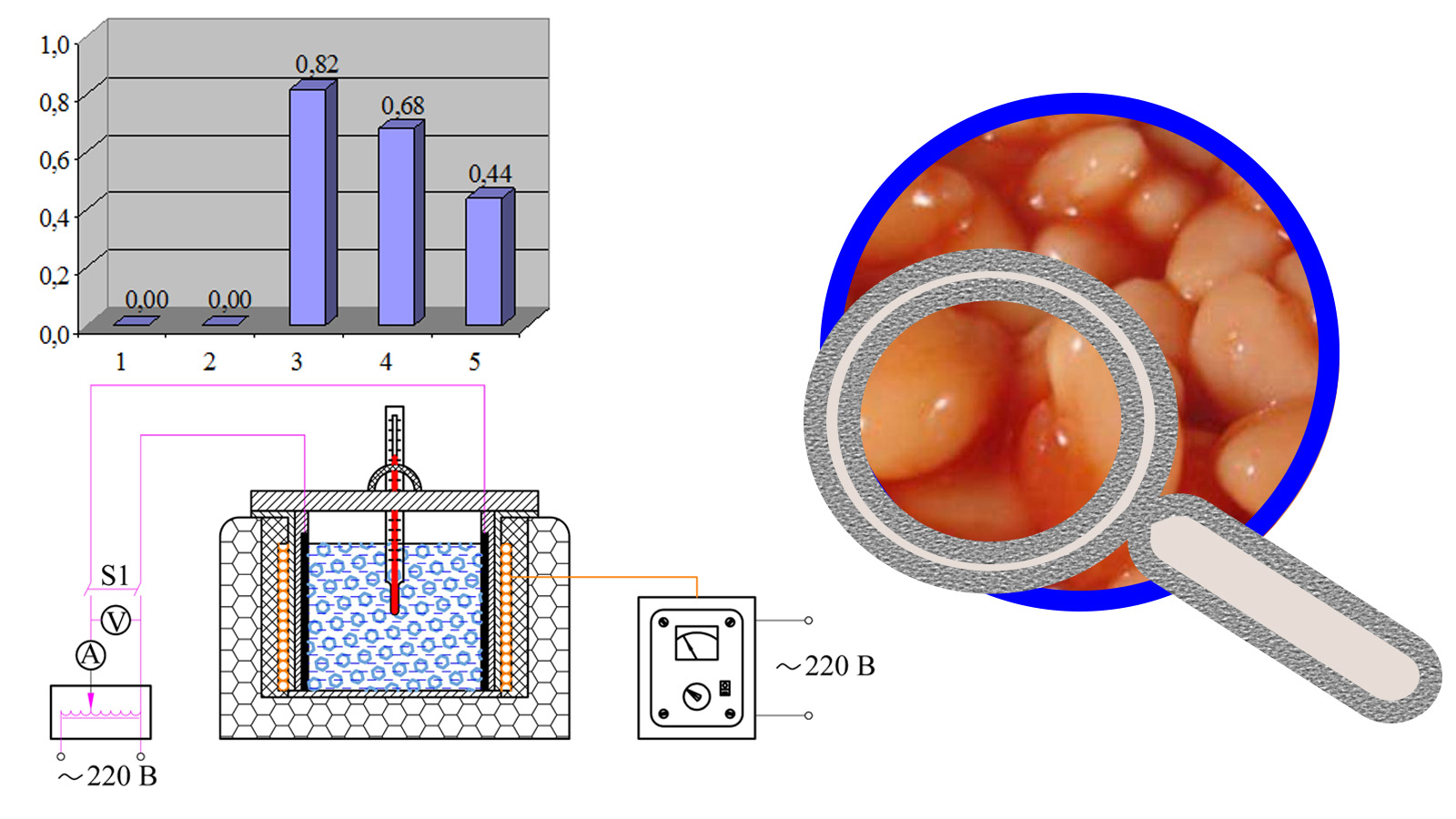 Devising a technique for manufacturing canned beans with soaking under the conditions of electric contact heating