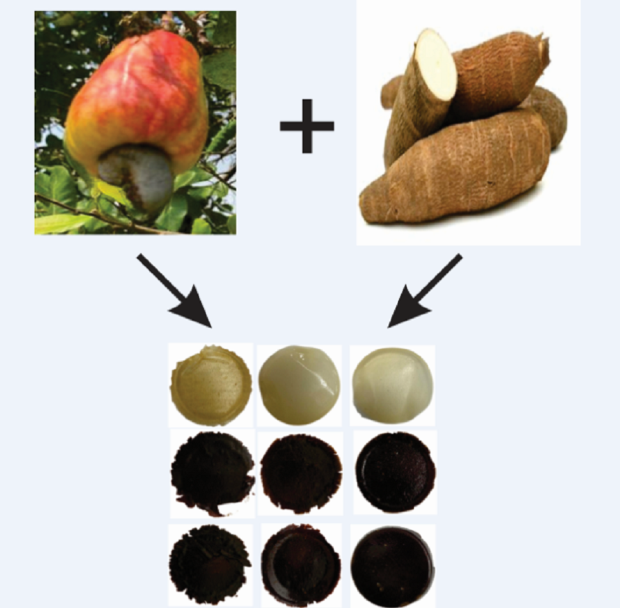 Valorization of cashew nut processing by-product: development of a cardol/starch biopolymer composite with electrochemical properties and technological potential