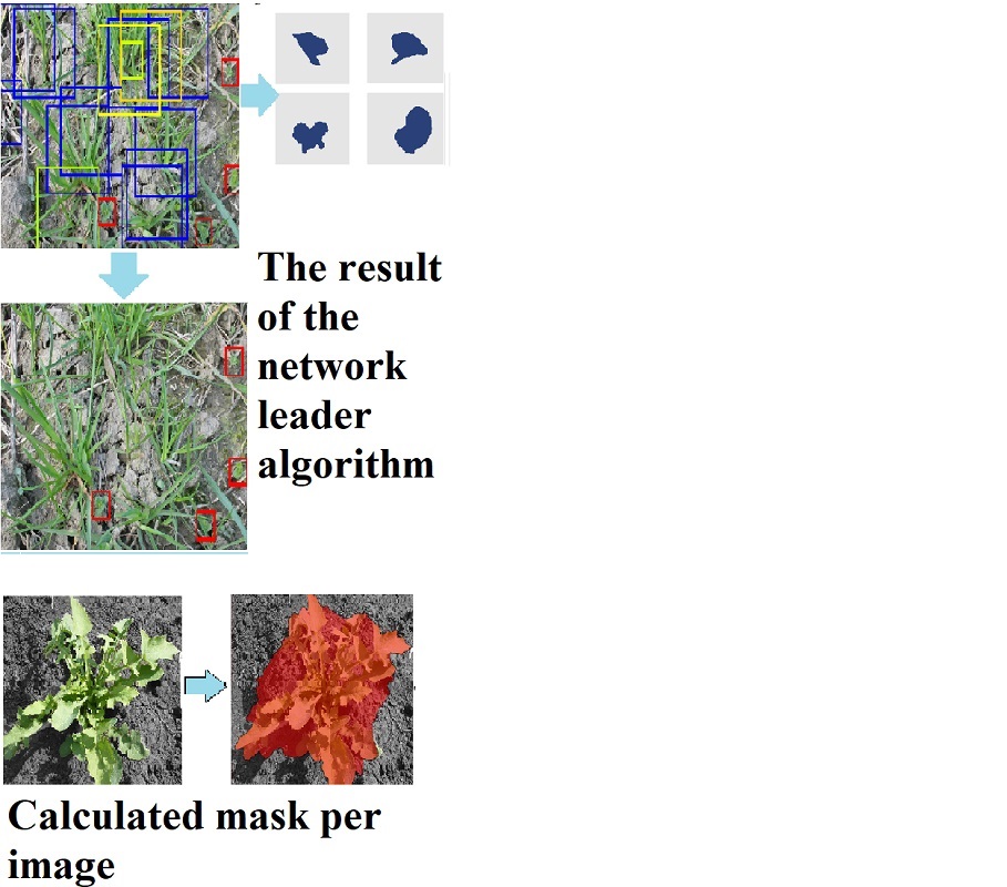 Identification of weeds in fields based on computer vision technology 