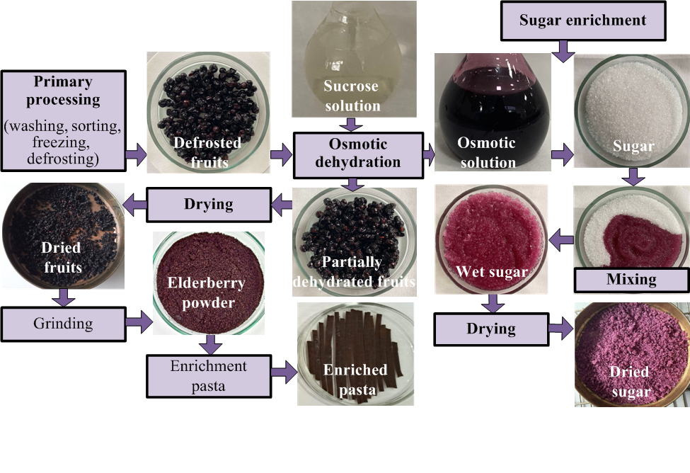 Determination of quality indicators of sugar fortified with a by-product of elderberry processing