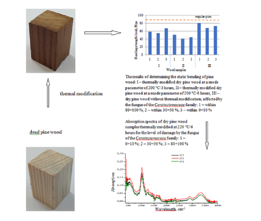 Establishment of patterns in the thermal modification of dry pine wood