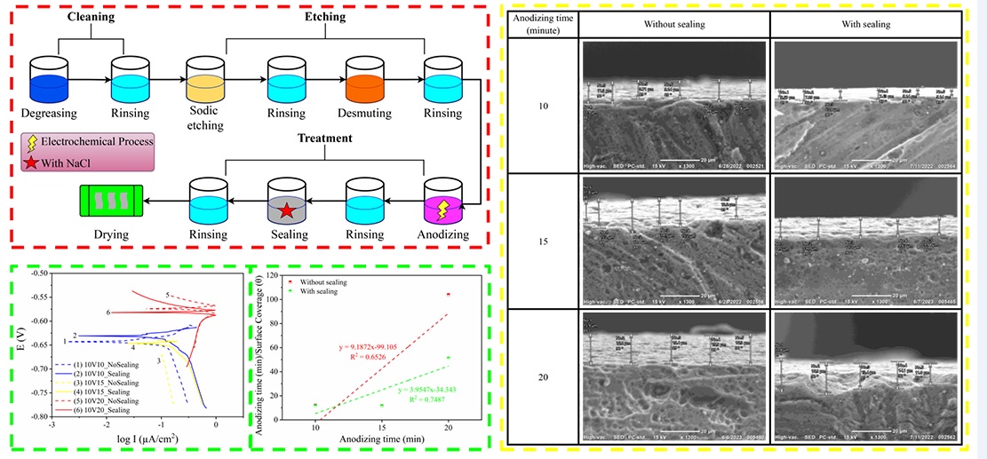 Effect of anodizing on aluminum alloy 2024 with boric sulfate acid in medium 3.5 % NaCl