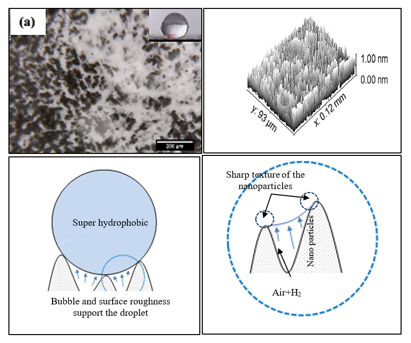 Identifying the features of surface roughness and H2 bubble production on the super-hydrophobic properties of Al2O3 and Mg membranes