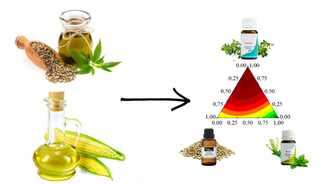 Development of a flavored oil composition based on hemp oil with increased resistance to oxidation