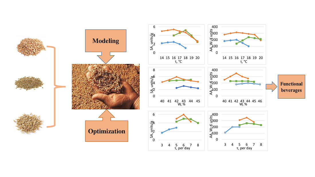 Development of a model and optimization of the interaction of factors in the grain malting process and its application in the production of functional beverages