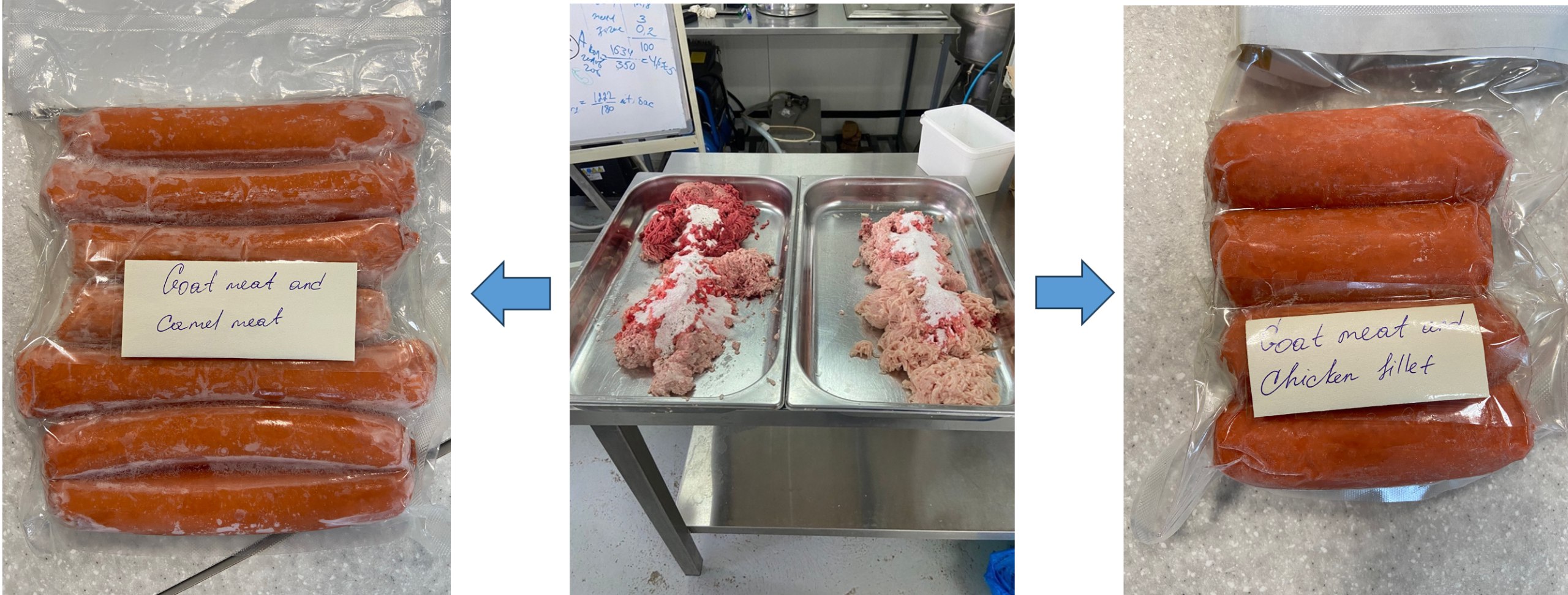 Enhancing sausage functionality products for school-age children: a study on goat and camel meat with natural purslane powder as an antioxidant additive