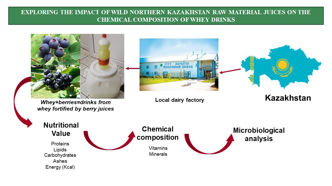 Exploring the impact of wild Northern Kazakhstan raw material juices on the chemical composition of whey drinks