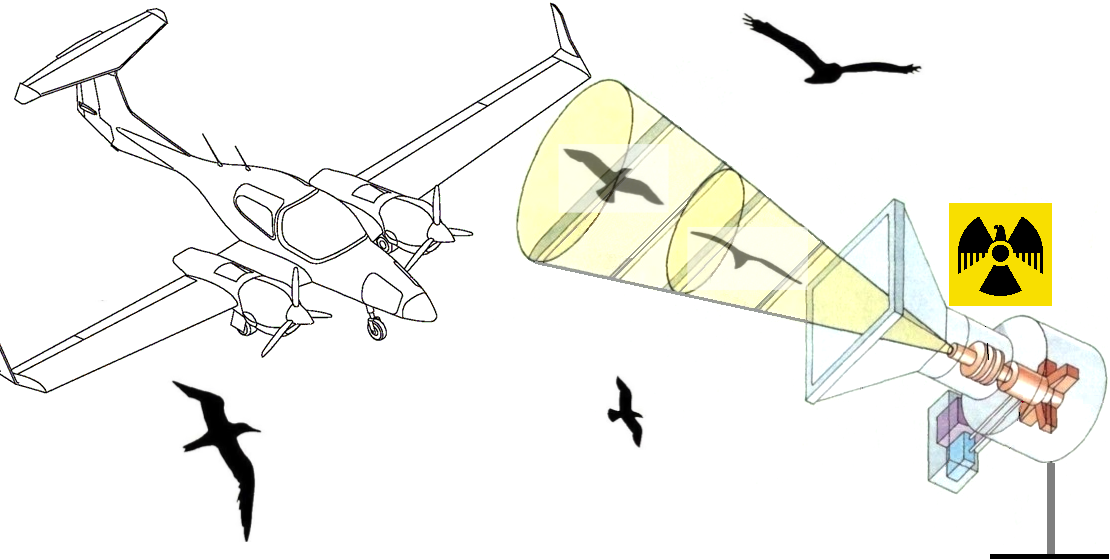 Devising an alternative technique to manufacture a radioisotope source of 60Co for irradiation device to ensure ornithological safety of aircraft flights