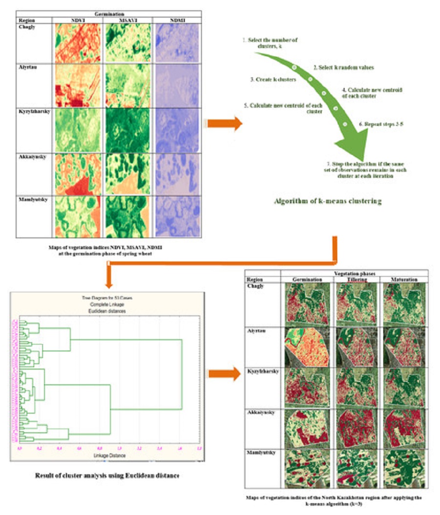 Determination of the number of clusters of normalized vegetation indices using the k-means algorithm