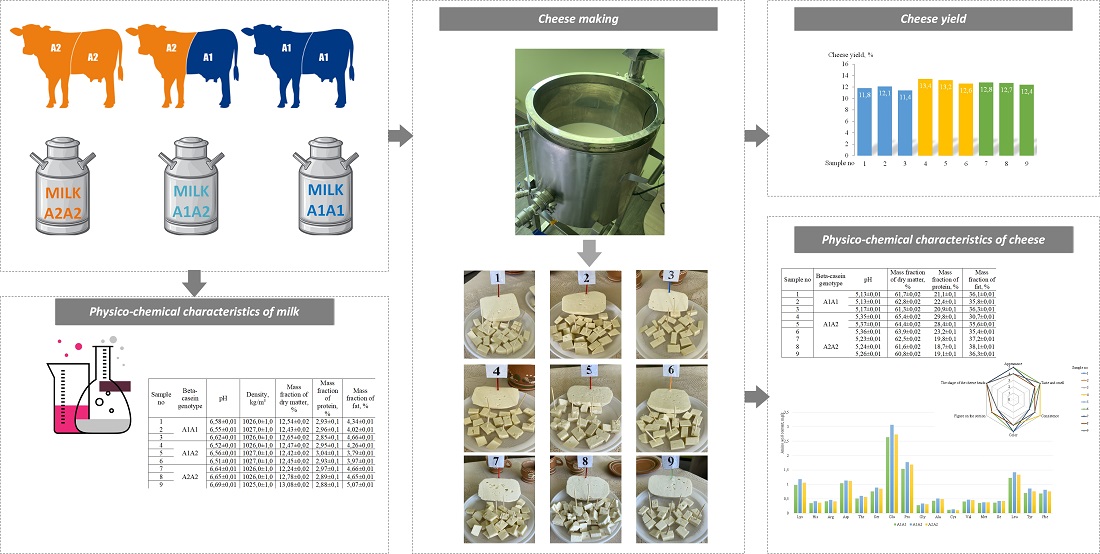 Determining the influence of raw milk protein composition on the yield of cheese and its nutrient content