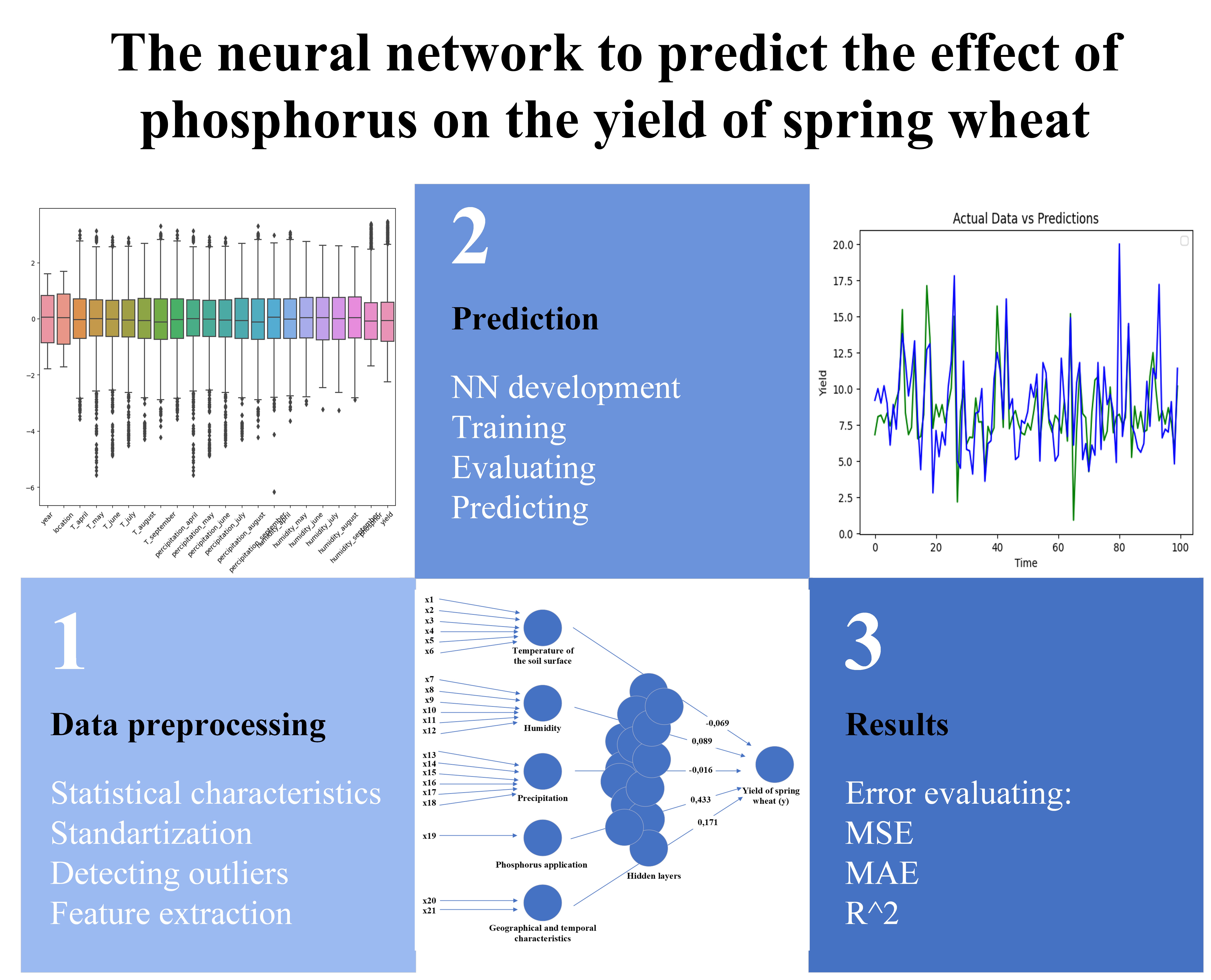 Development of a neural network model for training data on the effects of phosphorus on spring wheat growth