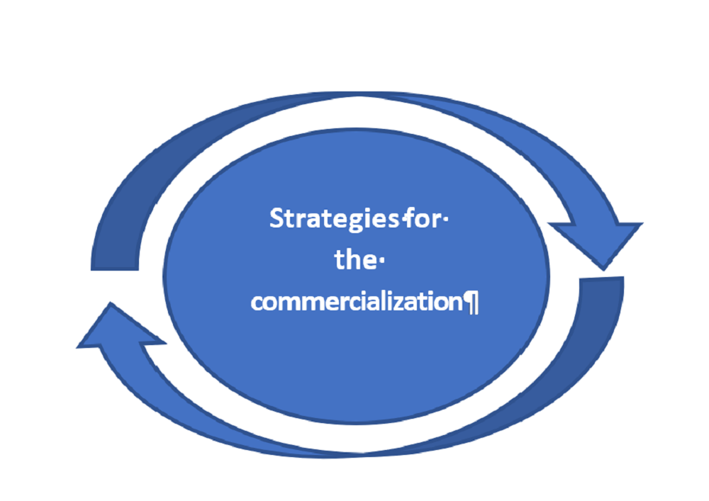 Formation of intellectual property commercialization strategies