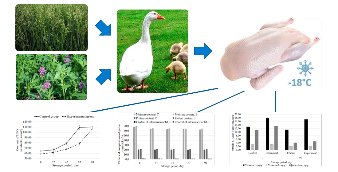Enhancing the quality and technological properties of goose meat during low-temperature storage through the action of biologically active substances from oats and alfalfa