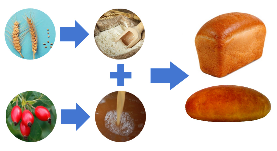 Встановлення характеру та частки зміни поживних речовин при виробництві хліба з додаванням сиропу шипшини