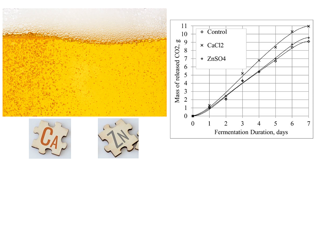 Intensification of high-gravity brewer’s wort fermentation process with the use of microelements