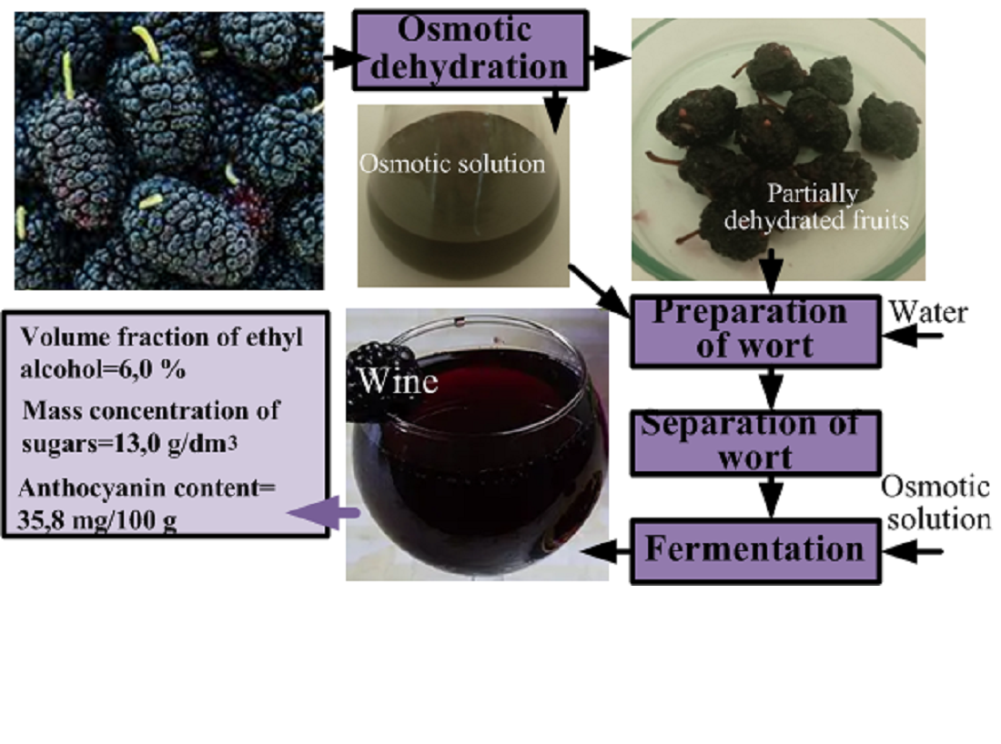 Determining the possibility of making mulberry wine by using the osmotic dehydration process