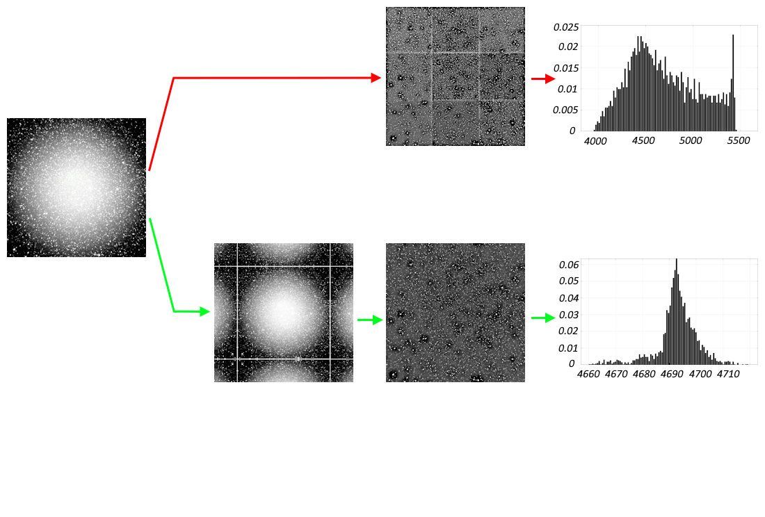 Devising an edge effect compensation procedure to eliminate structural distortions during frequency filtering