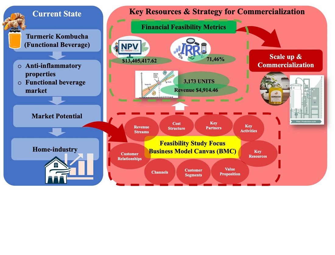 Financial feasibility: developing and commercializing Turmeric Kombucha with the business model canvas