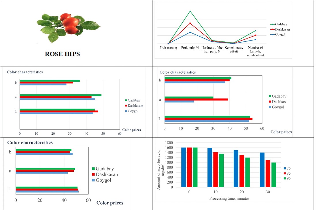 Identification of the effect of ripening conditions on the yield of rose hips and their processed products