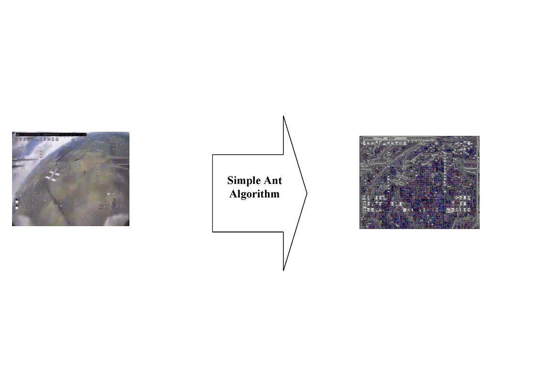 Segmentation of a first-person-view image from an unmanned aerial vehicle based on a simple ant algorithm 