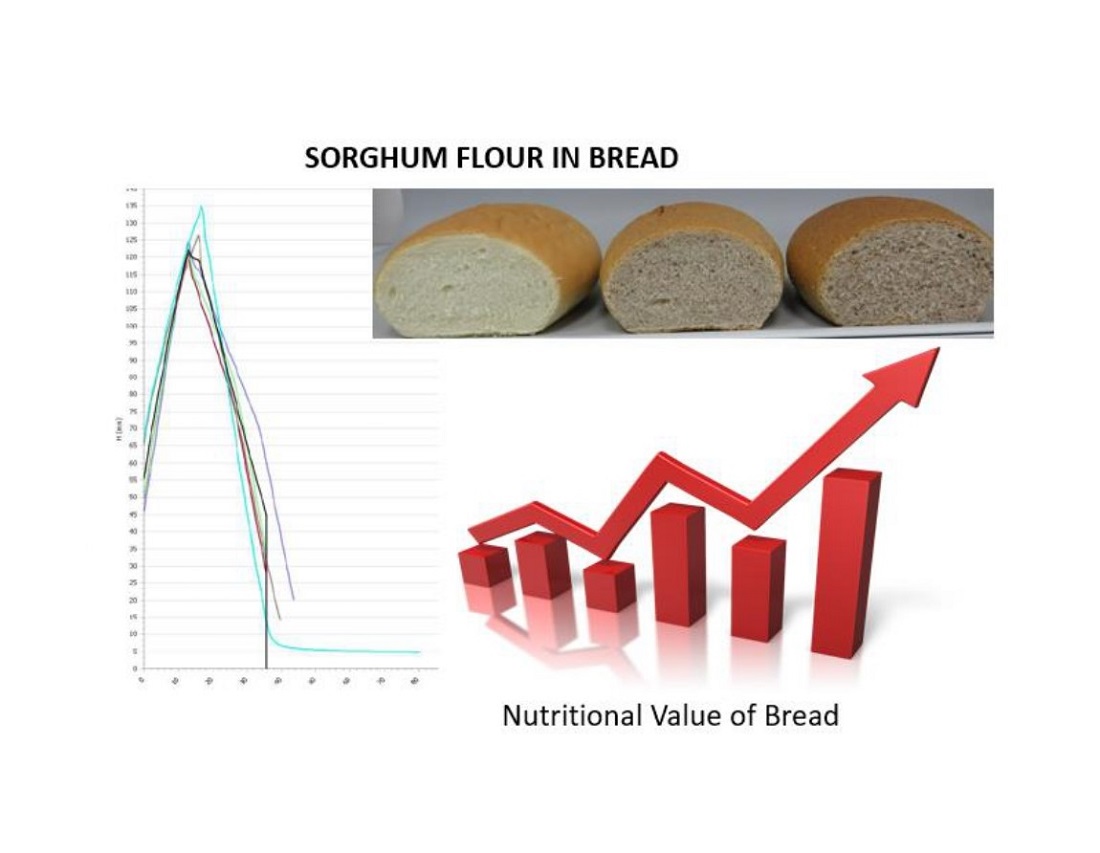 Revealing the influence of sorghum flour on the rheological and baking properties of dough, the quality and nutritional value of bread