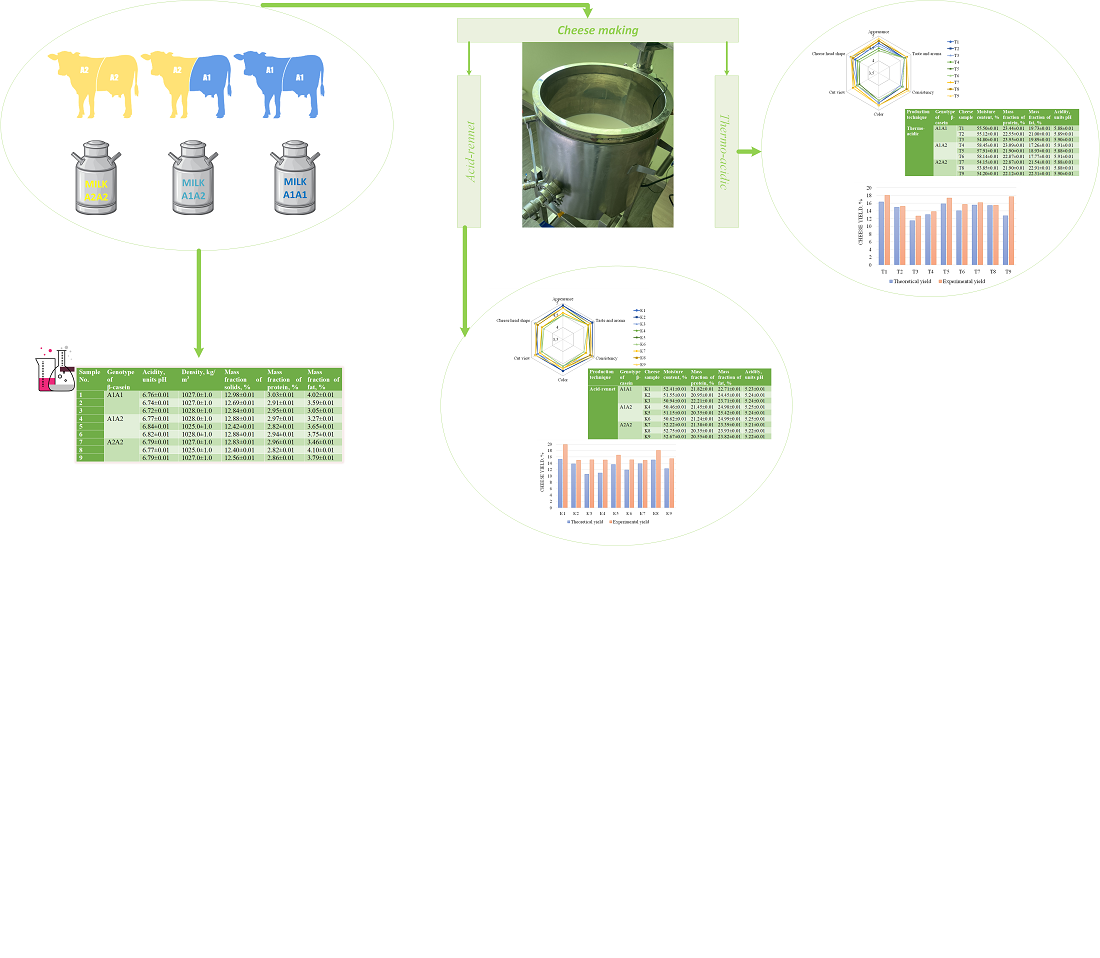 Determining the influence of raw milk β-casein polymorphism on the efficiency of making soft cheese