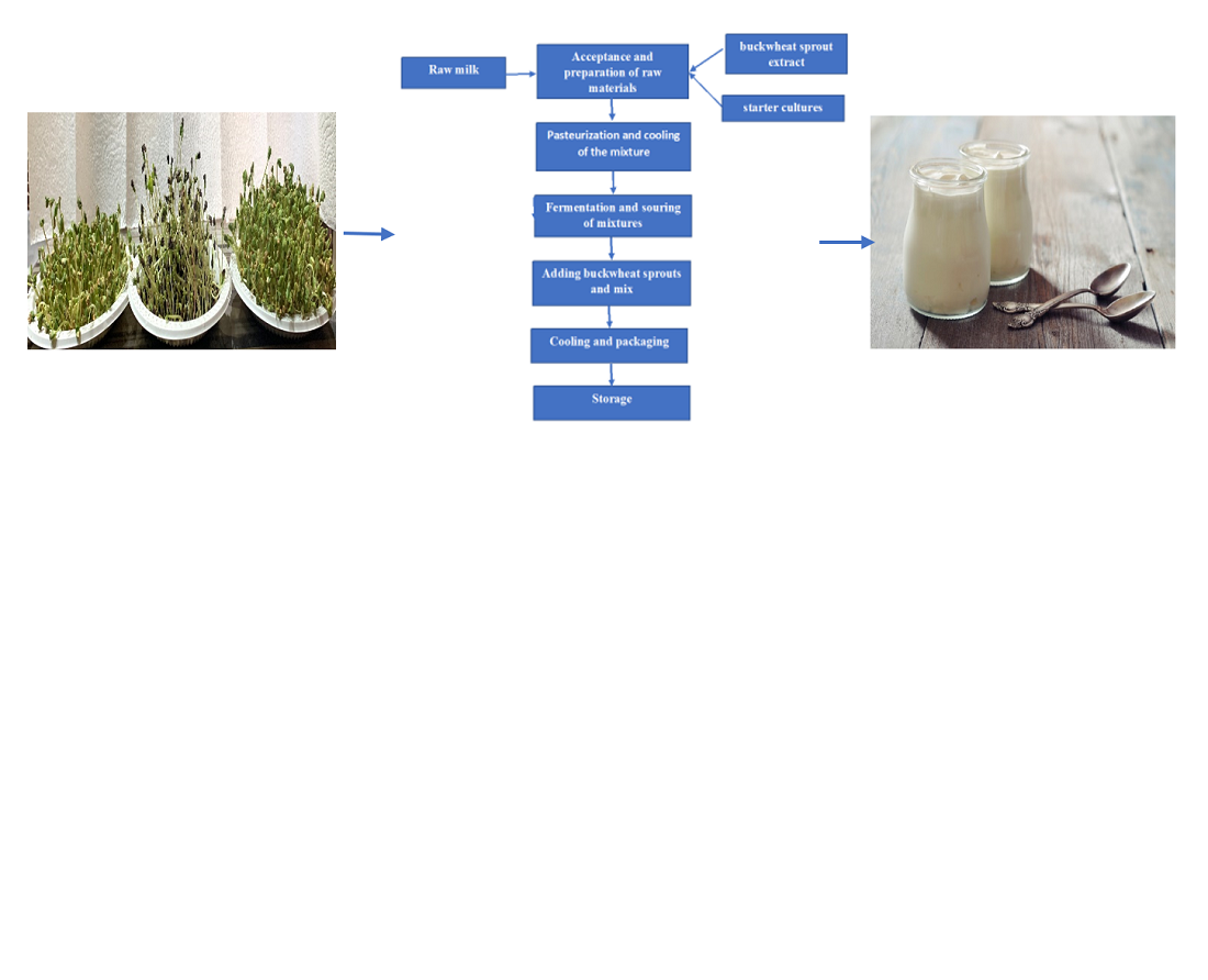 Development of technology for fermented milk product “Gatyg” based on buckwheat varieties grown in Azerbaijan