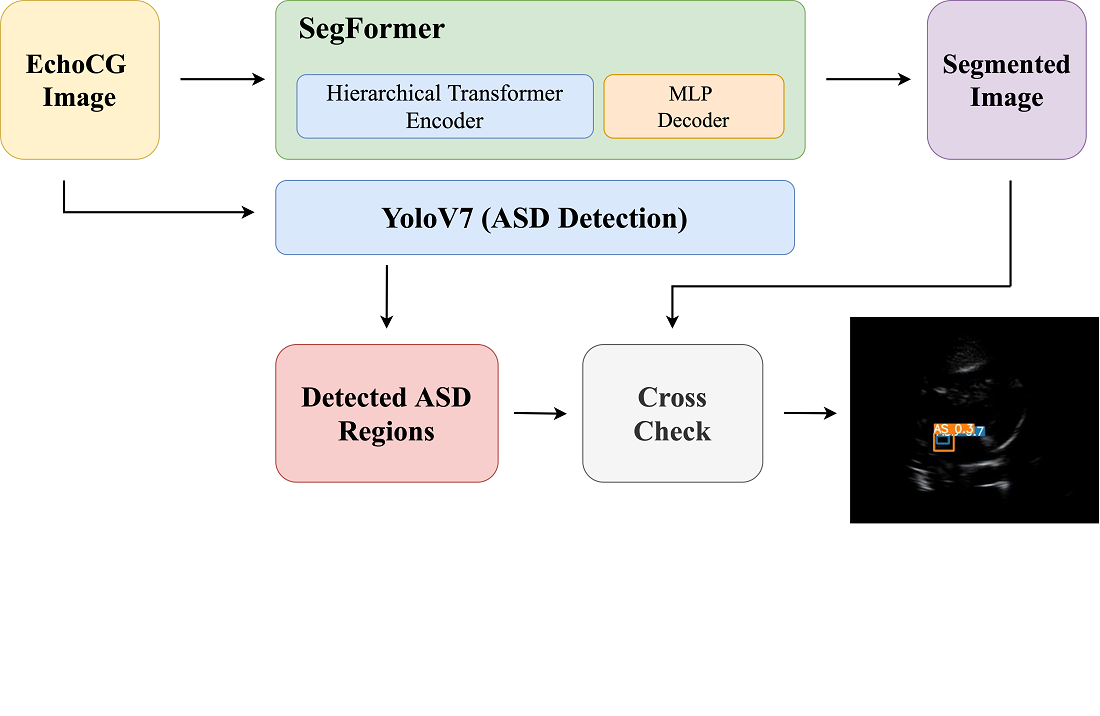 Development of data-efficient training techniques for detection and segmentation models in atrial septum defect analysis