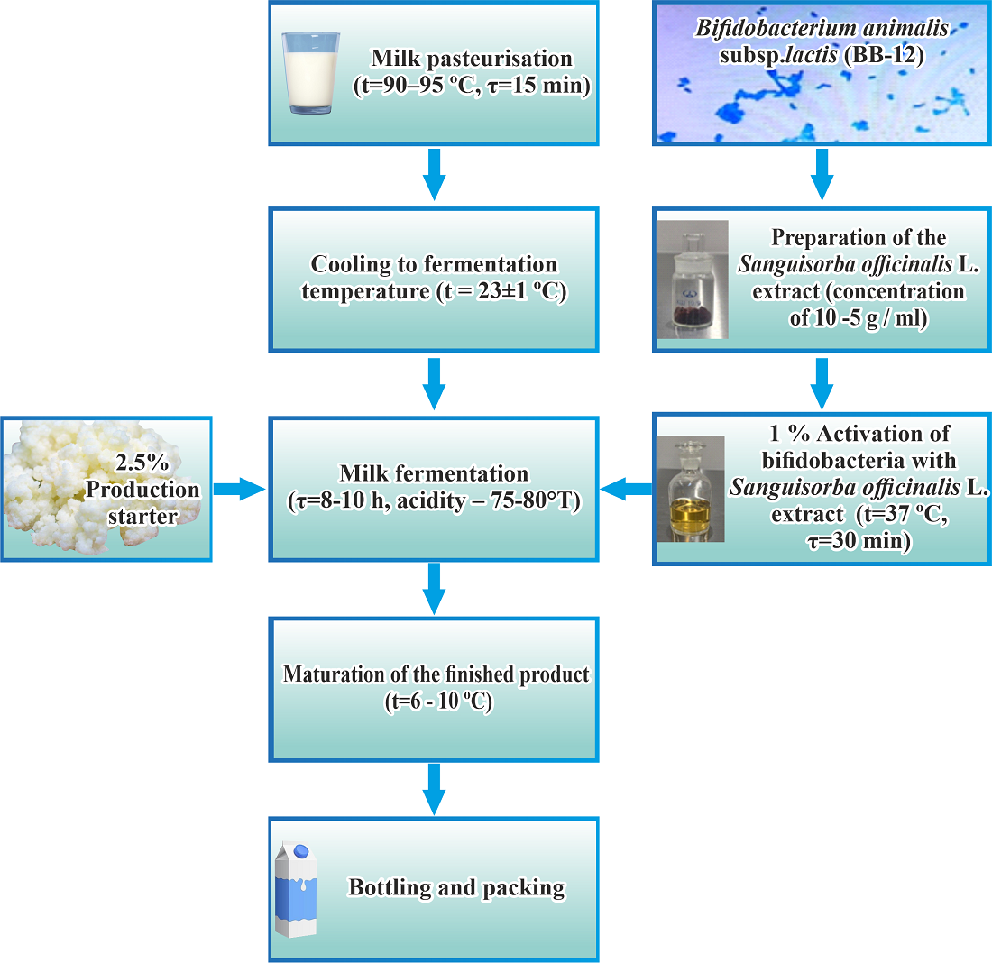 Development of kefir product with Bifidobacterium animalis subsp. lactis (BB-12) activated by Sanguisorba officinalis L. extract