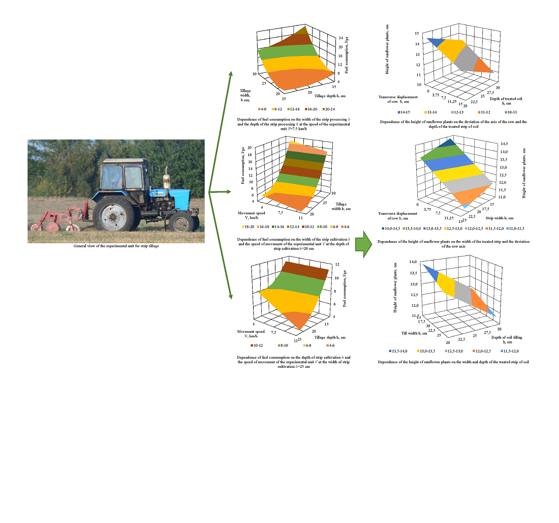 Determining the influence of structural and technological parameters of strip tillage on sunflower vegetation 