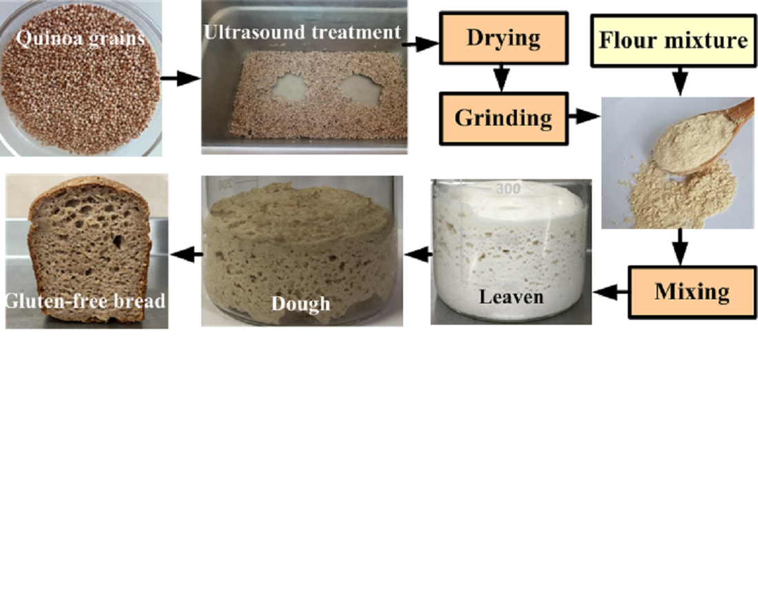 Improving the technology of gluten-free bread with quinoa flour