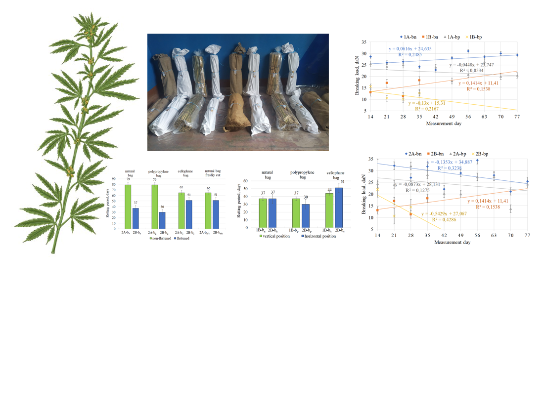 Defining patterns in the intensification of hemp stalk retting processes