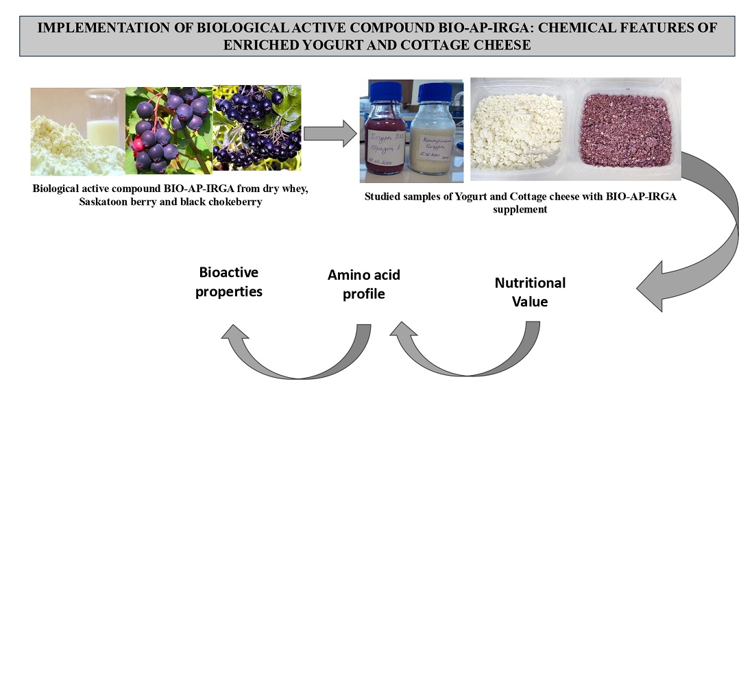 Implementation of biological active compound BIO-AP-IRGA: chemical features of enriched yogurt and cottage cheese