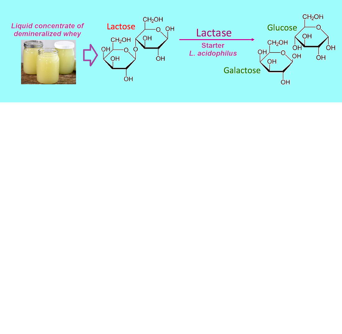 Determining patterns of lactose hydrolysis in liquid concentrates of demineralized whey