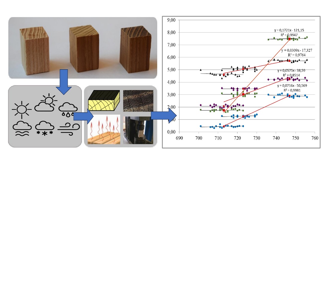 Identifying patterns in the resistance of thermally modified ash wood to weathering
