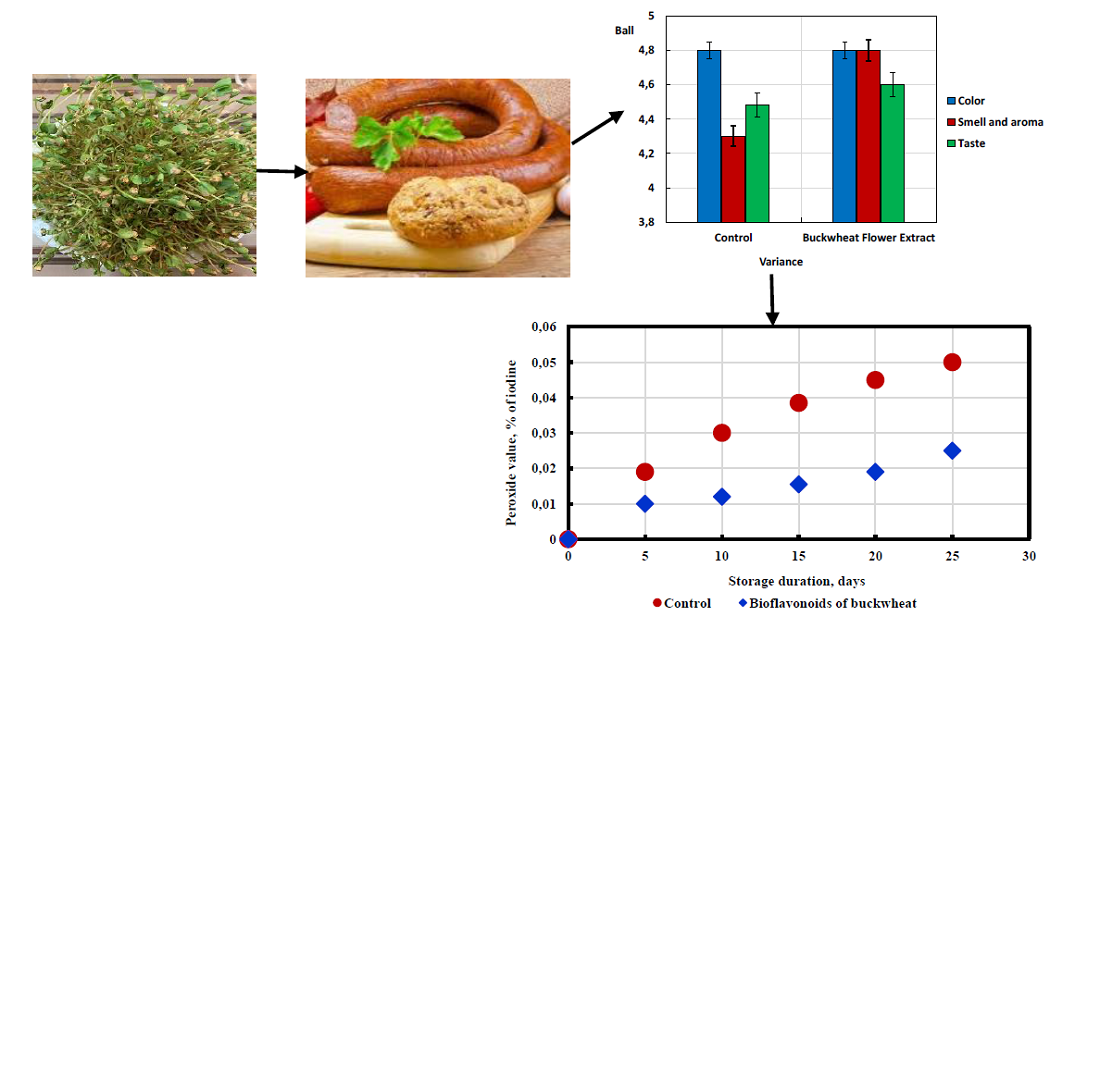 Development of a production technology for cooked sausages using buckwheat extracts and their impact on quality and storage life