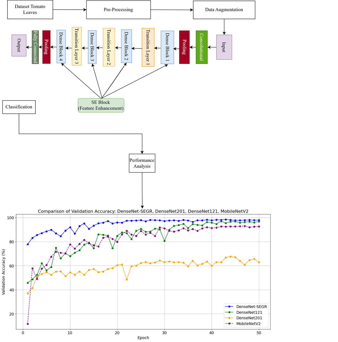 Densenet development with squeeze-and-excitation block for tomato plant disease classification
