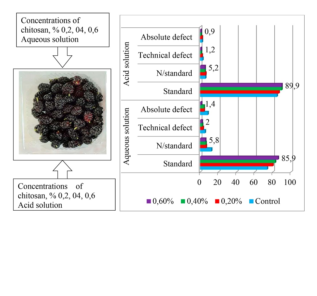 Determination of the effect of chitosan treatment before storage on the storage of mulberry fruits