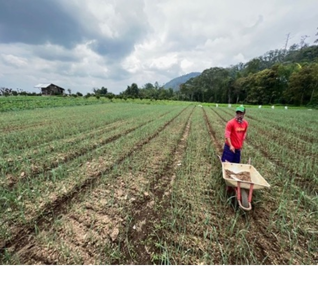 Optimization of garlic cultivation land selection using PCA and K-means approach in spatial intelligent system