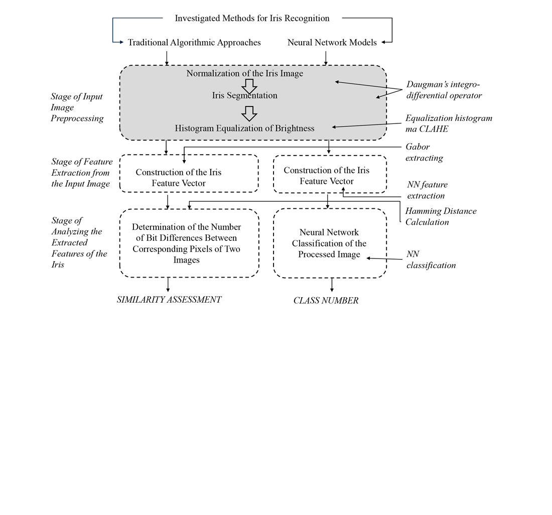 Determining an approach to iris recognition depending on shooting conditions