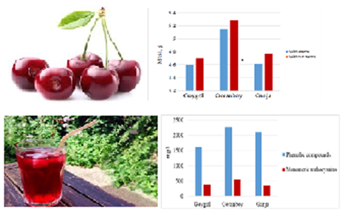 Identifying the factors affecting the preparation of wine material from cherry fruits
