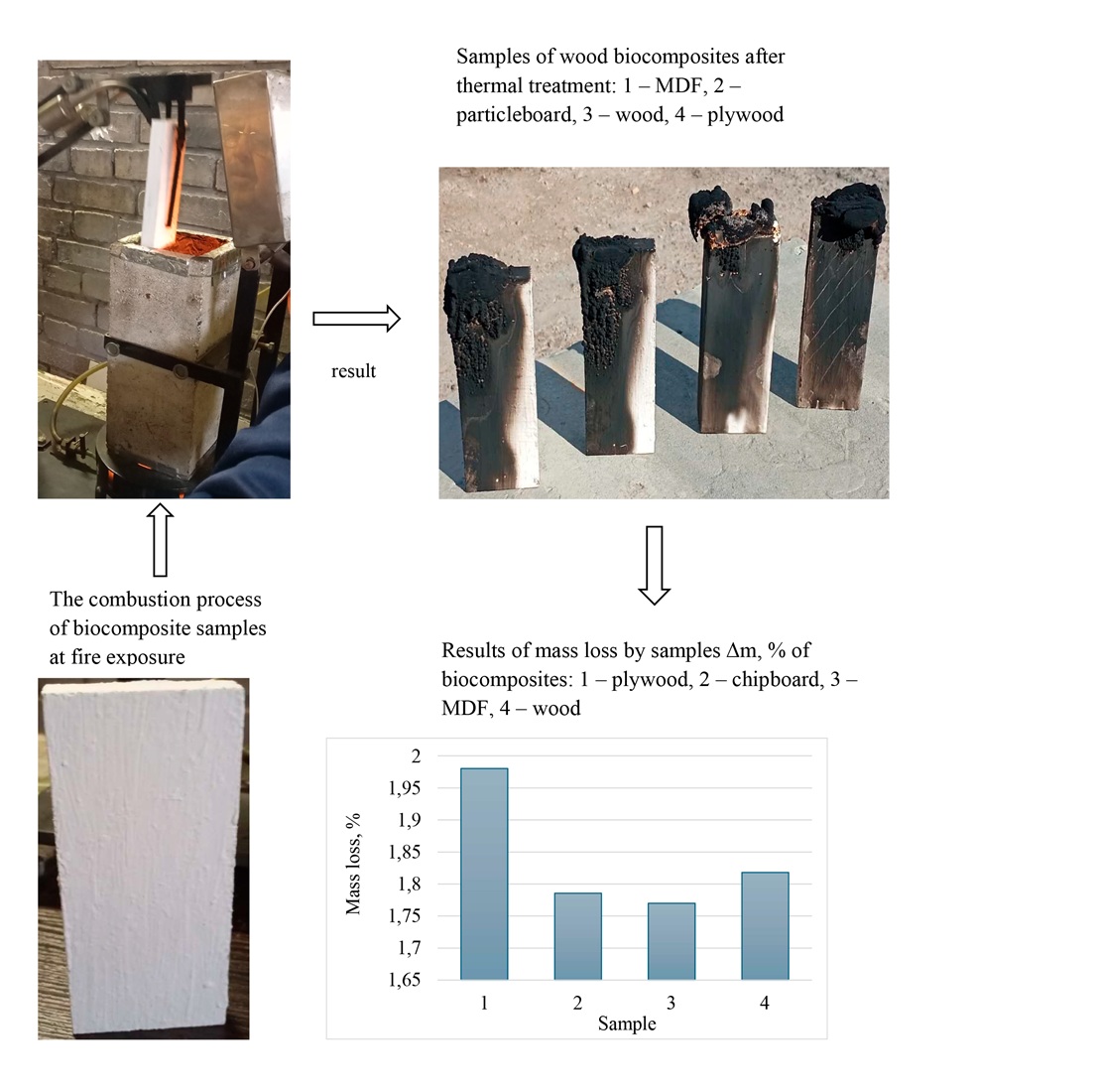 Establishing the rules of formation of fire-resistant biocomposites for building materials
