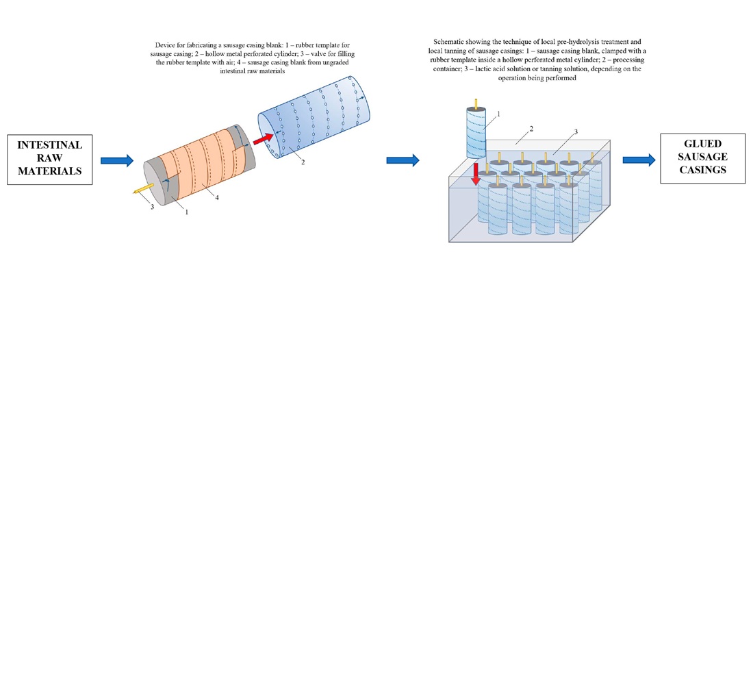 Improving the technology of glued sausage casings from subgrade beef intestinal raw materials