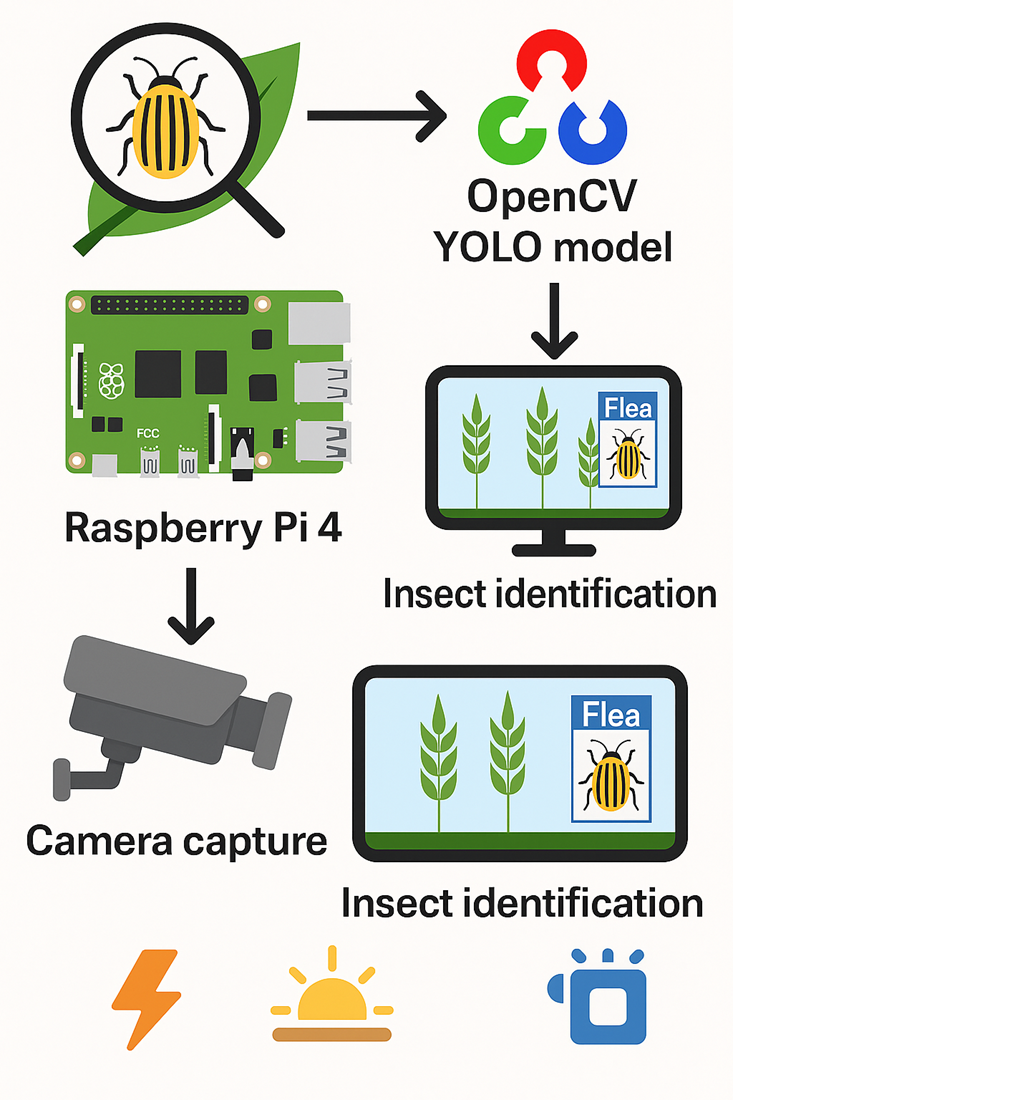 Розробка інтелектуальної системи керування пристроєм розпізнавання хлібної смугастої блішки (Phyllotreta vittula)