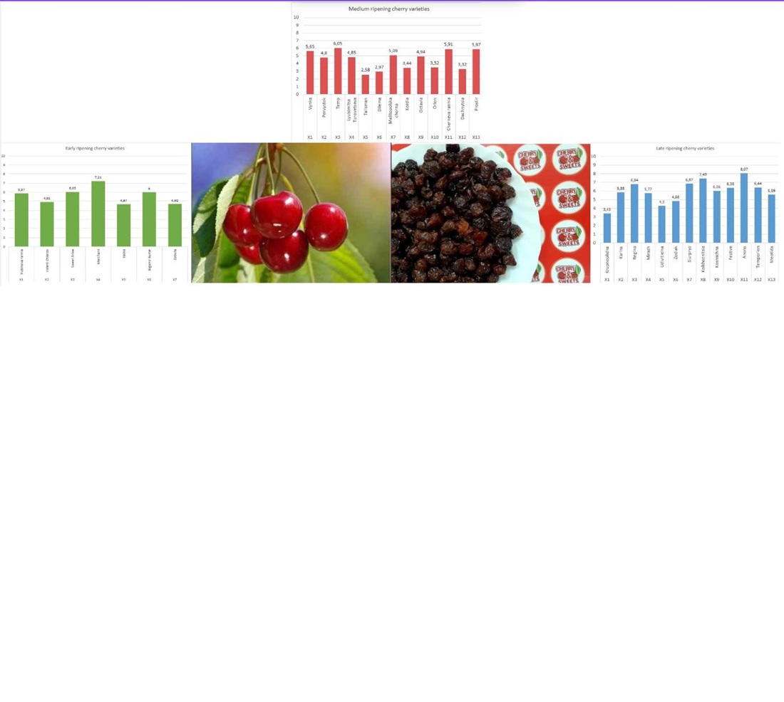 Substantiating the criteria for evaluating the quality of frozen sweet cherry fruits using the method of multi-criteria optimization