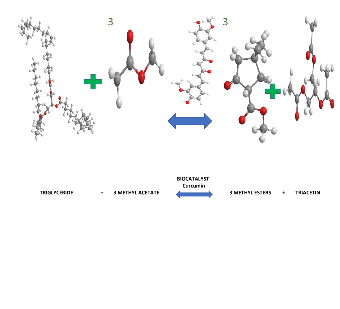 The effective process of waste cooking oil biodiesel production by interesterification with reaction using curcumin biocatalyst