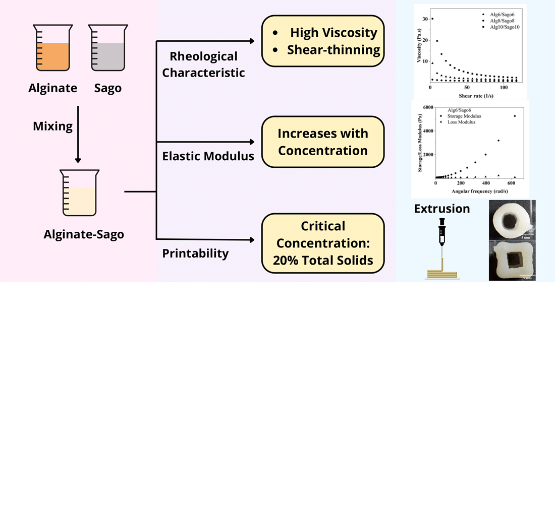 Розробка гідрогелів крохмалю та альгінату саго для 3D-друку харчових продуктів методом екструзії 