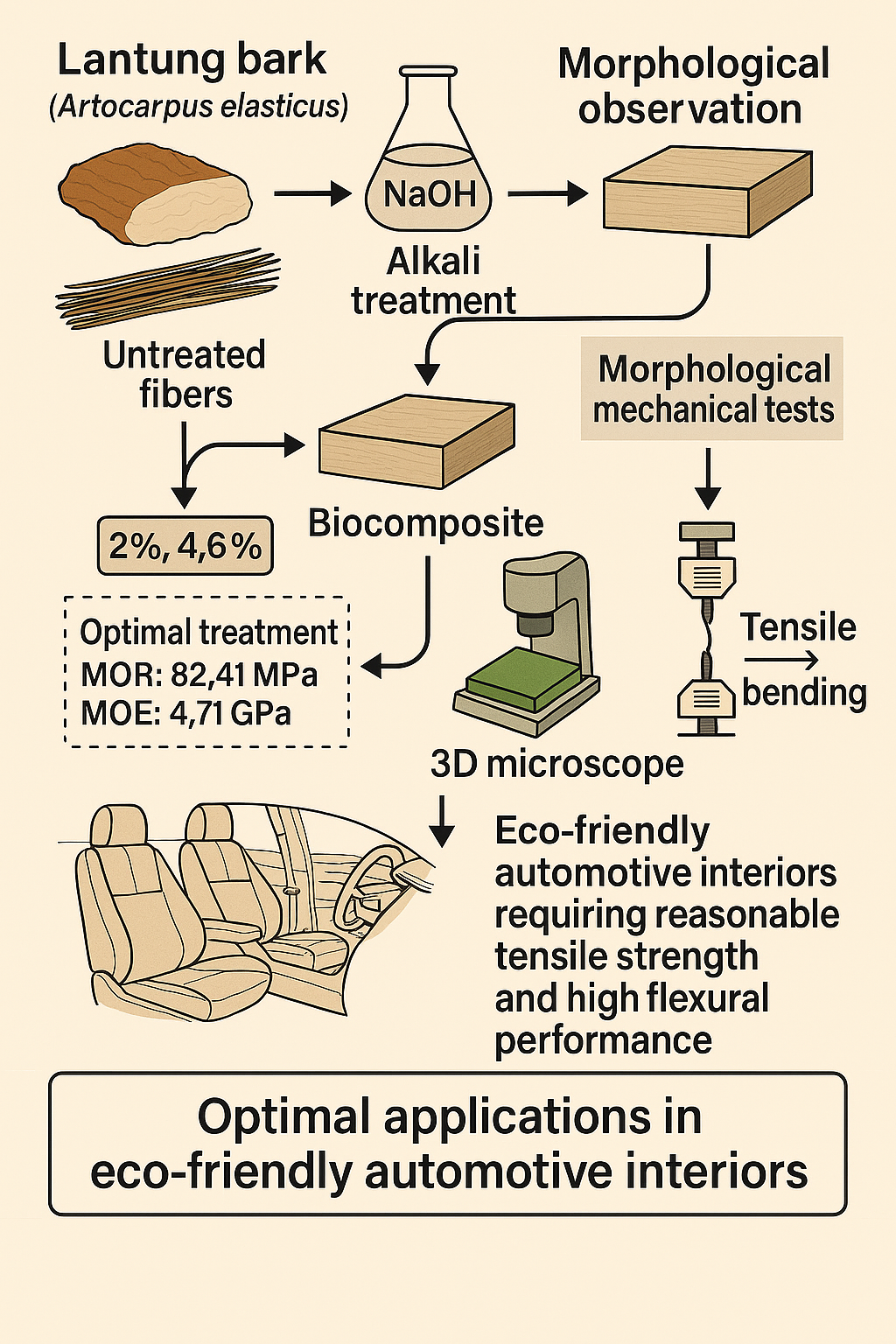 Identifying the mechanical properties and surface morphology of artocarpus elasticus fiber biocomposites due to the effect of alkali treatment for automotive applications