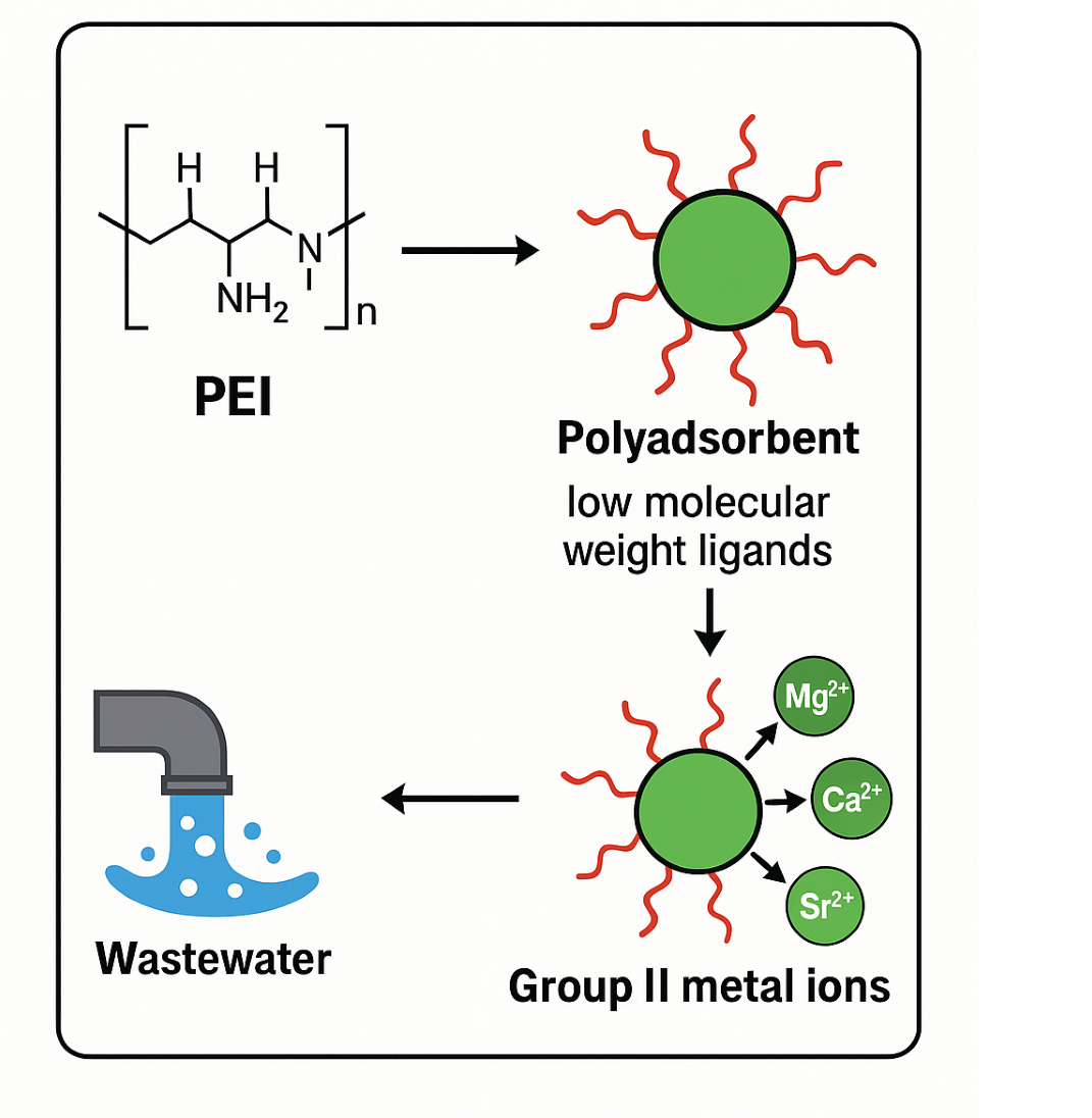 Development of polyadsorbents based on polyethylenimine and low molecular weight ligands for the extraction of group II metal ions from wastewater