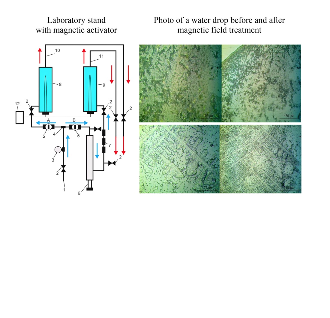 Design of a magnetic activator to prevent scale formation on the surface of tubular electric water heaters
